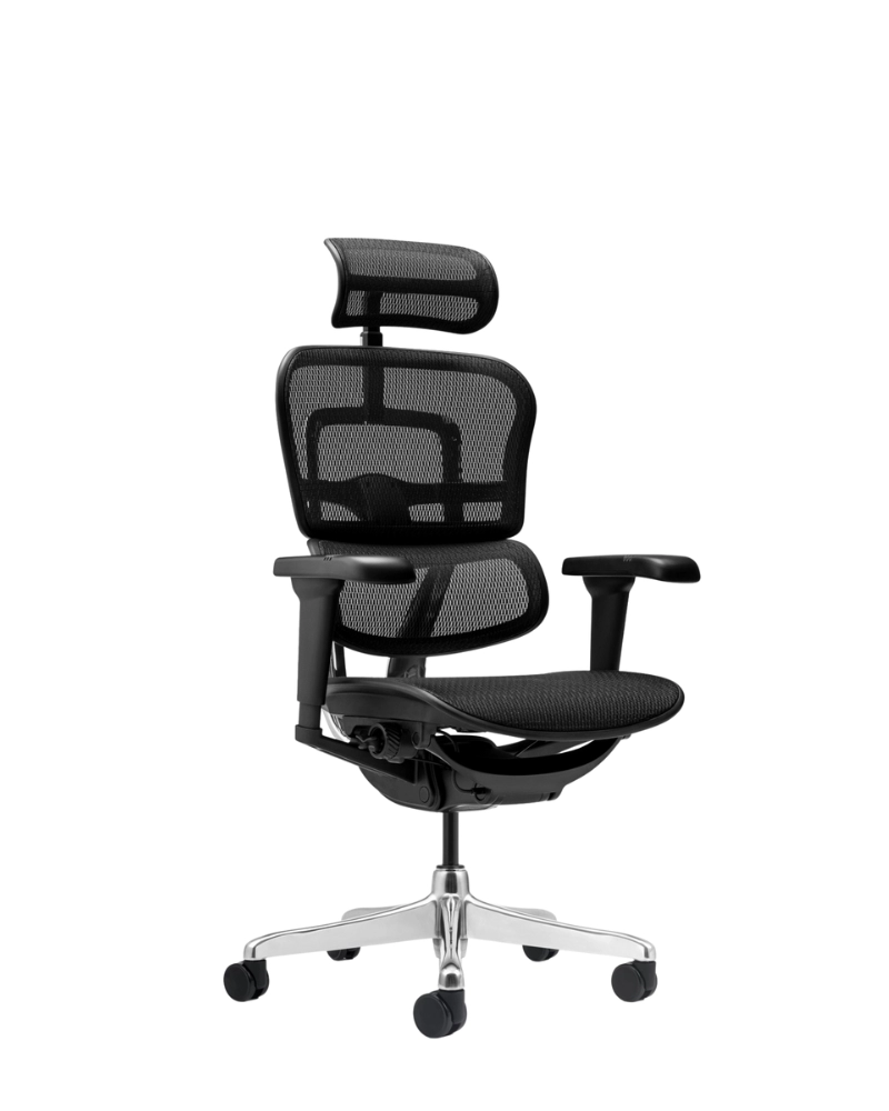 Кресло Ergohuman Ultra Black T-168 
